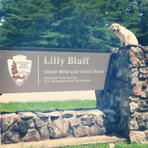 Lilly Bluff